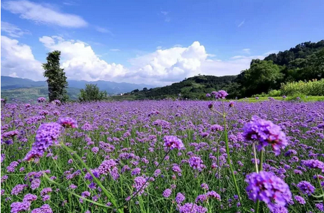 万州新月湾景区