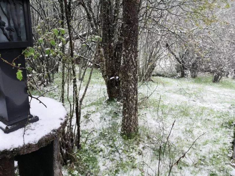 立夏重庆城口下雪了