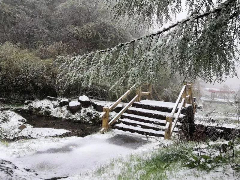 立夏重庆城口下雪了