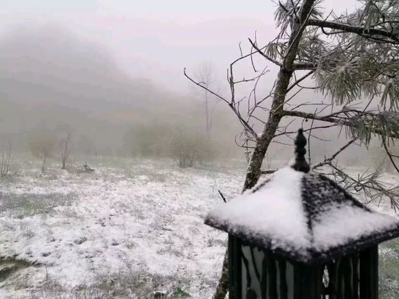 城口立夏第二天居然下雪了，下雪还是夏雪傻傻分不清-7.jpg