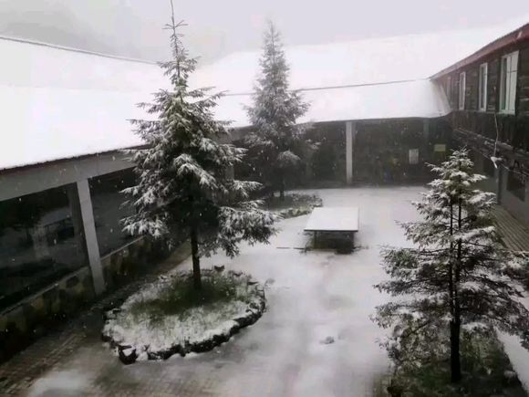 城口立夏第二天居然下雪了，下雪还是夏雪傻傻分不清-6.jpg