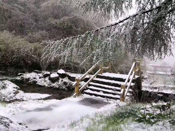 城口立夏第二天居然下雪了，下雪还是夏雪傻傻分不清-8.jpg