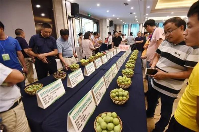 万州举办特色水果推介会