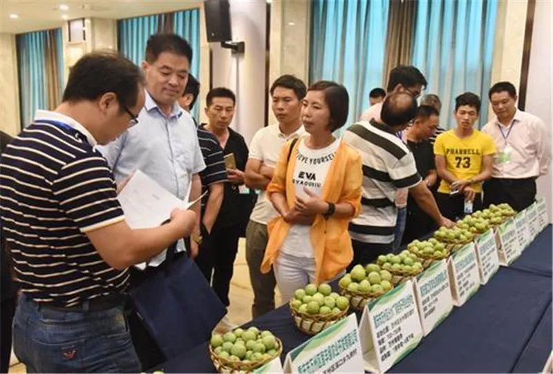 万州举办特色水果推介会