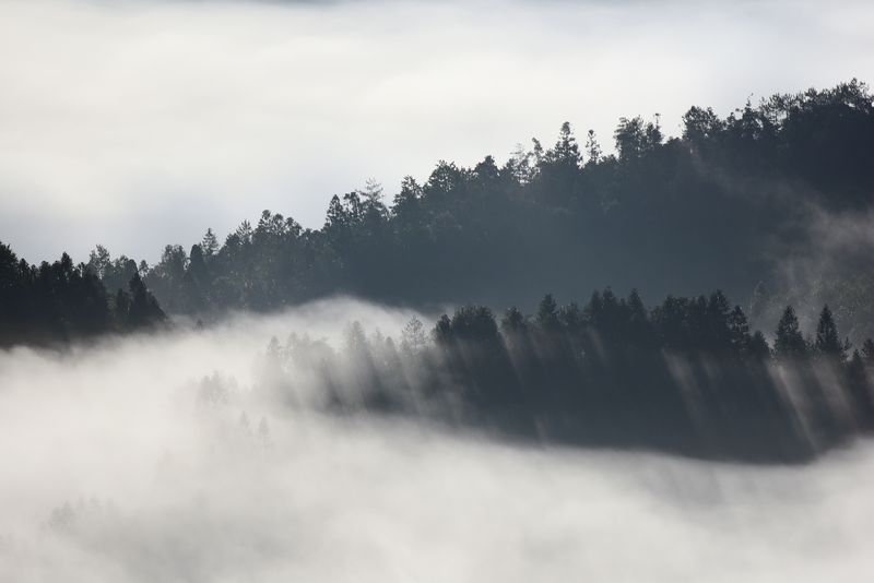 水墨云山