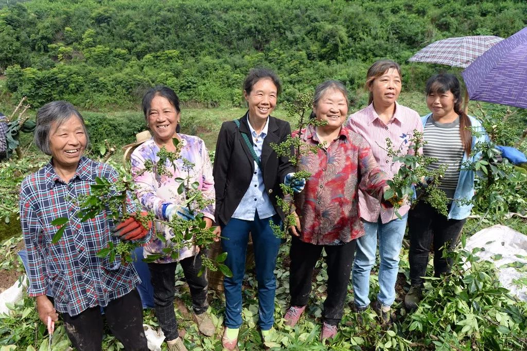 万州响水镇宝莲村